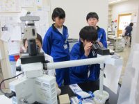 中学生キャリアスタートウイークで顕微鏡をのぞく中学生（令和元年度）